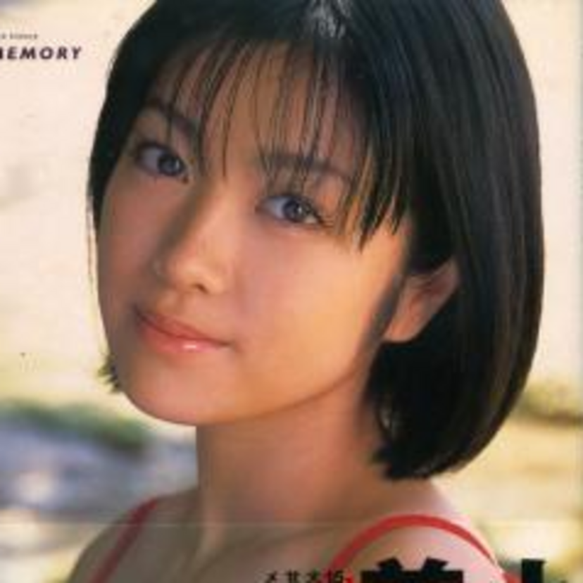 『芸能人AV』列伝（元アイドル・女優・グラドルを29名セレクト）