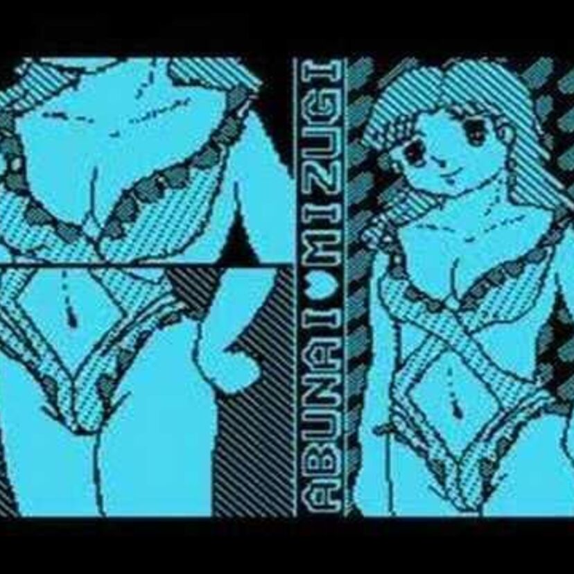 MSX版ドラクエⅡだけ！「あぶないみずぎ」のあぶない演出、知っていましたか？