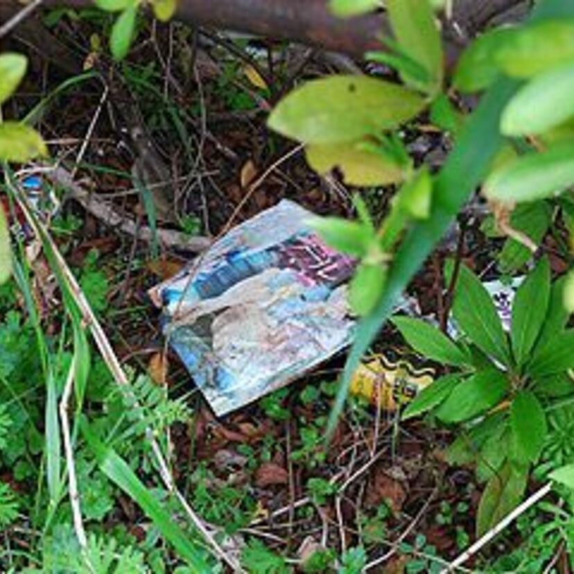 【エロ本あるある】みんな考える事は同じ？隠し場所・自販機・公園に落ちてる等、幼き日のエロ本との遭遇まとめ