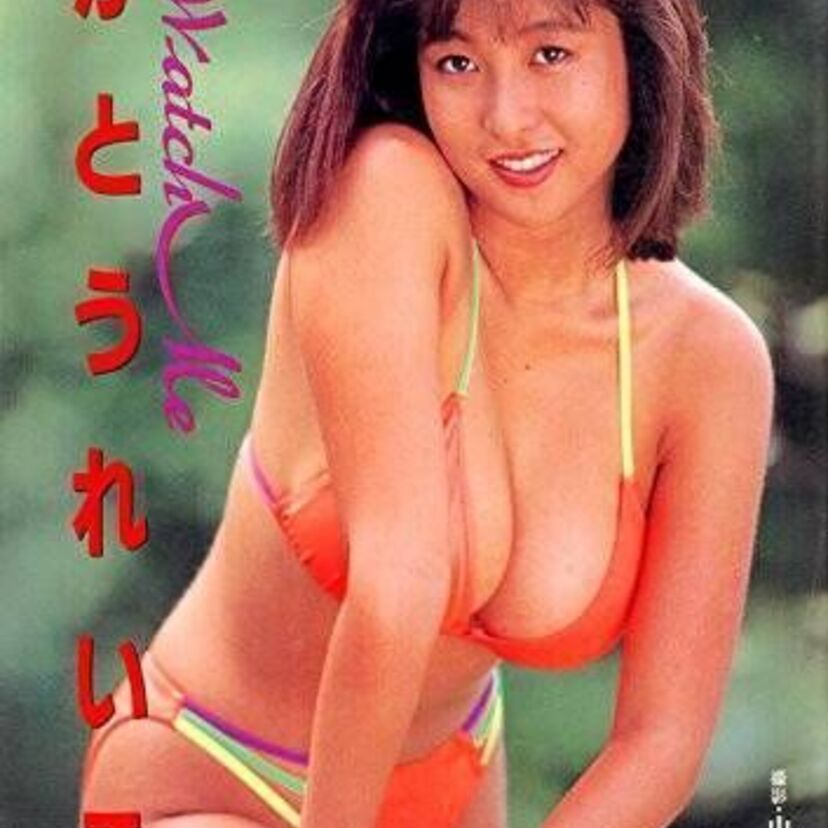 《グラビア業界の仕事1》かとうれいこなどの人気巨乳アイドルの隆盛