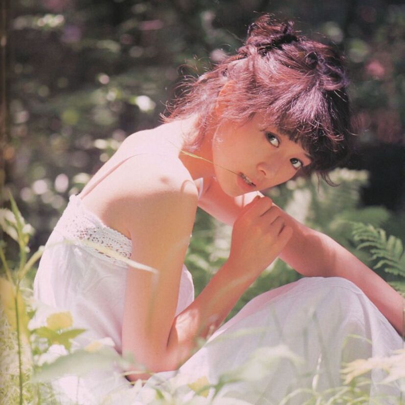 よく見てご覧・・・昭和アイドルは透けそうな着衣を披露してたね。  当時はそれだけでも鼓動が速くなったな・・。