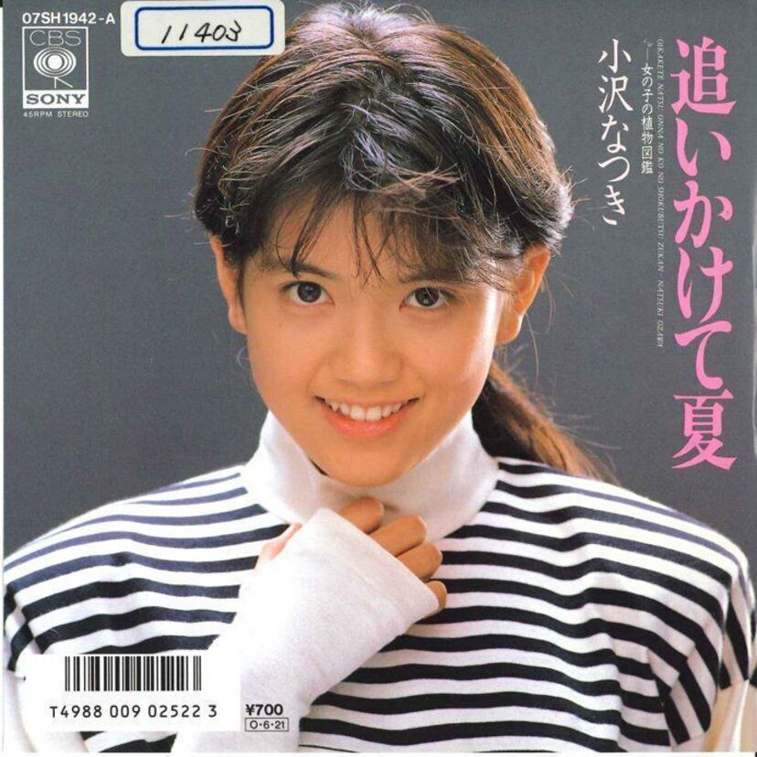 【小沢なつき】アイドル・女優としてご活躍！ドラマ撮影を途中放棄して引退？その後はAV業界に鮮烈デビュー！