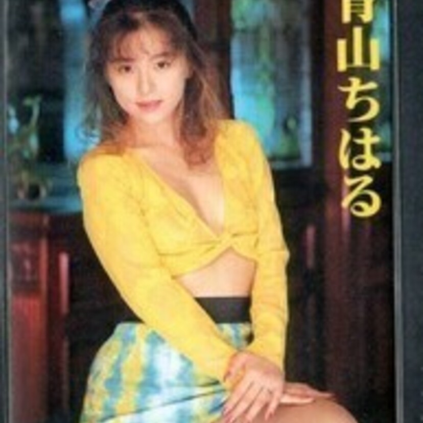 セクシー女優と結婚(お付き合い）した男性芸能人