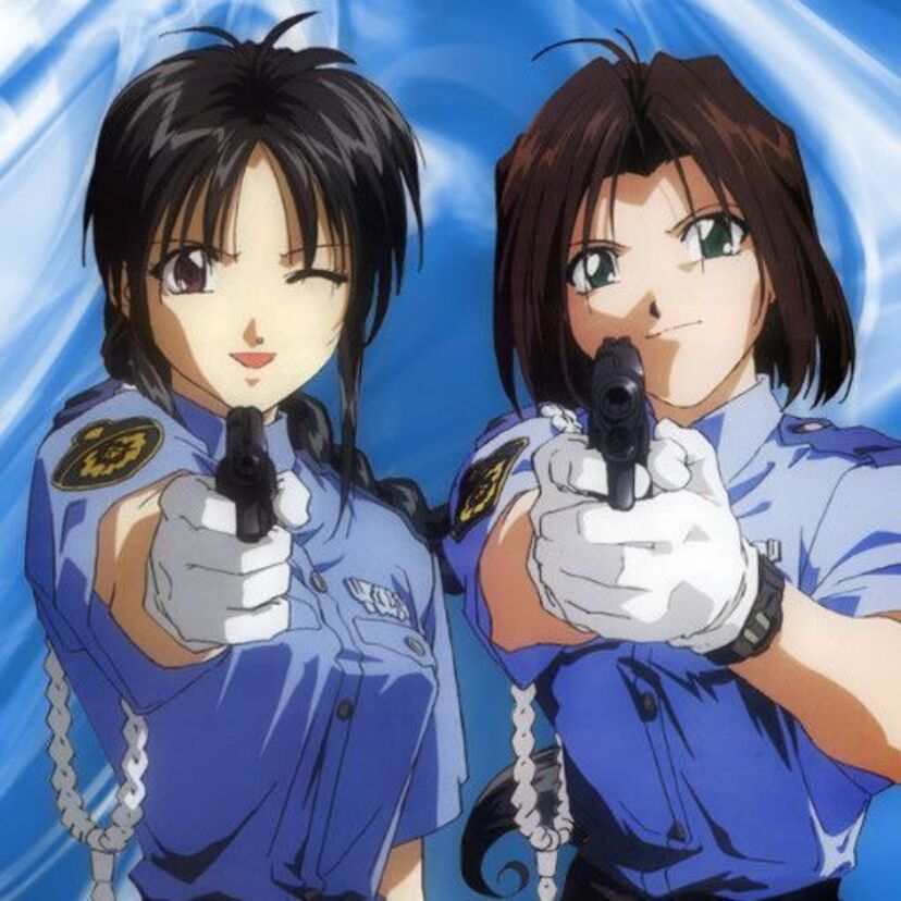 『逮捕しちゃうぞ』（1986年）美人婦人警官コンビ「辻本夏実」と「小早川美幸」を主人公とするロマンティック路線のポリスコメディ