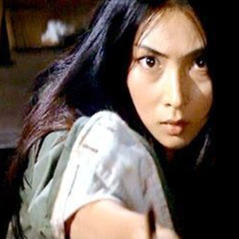 シリーズ過激度NO．1「女囚さそり・けもの部屋」